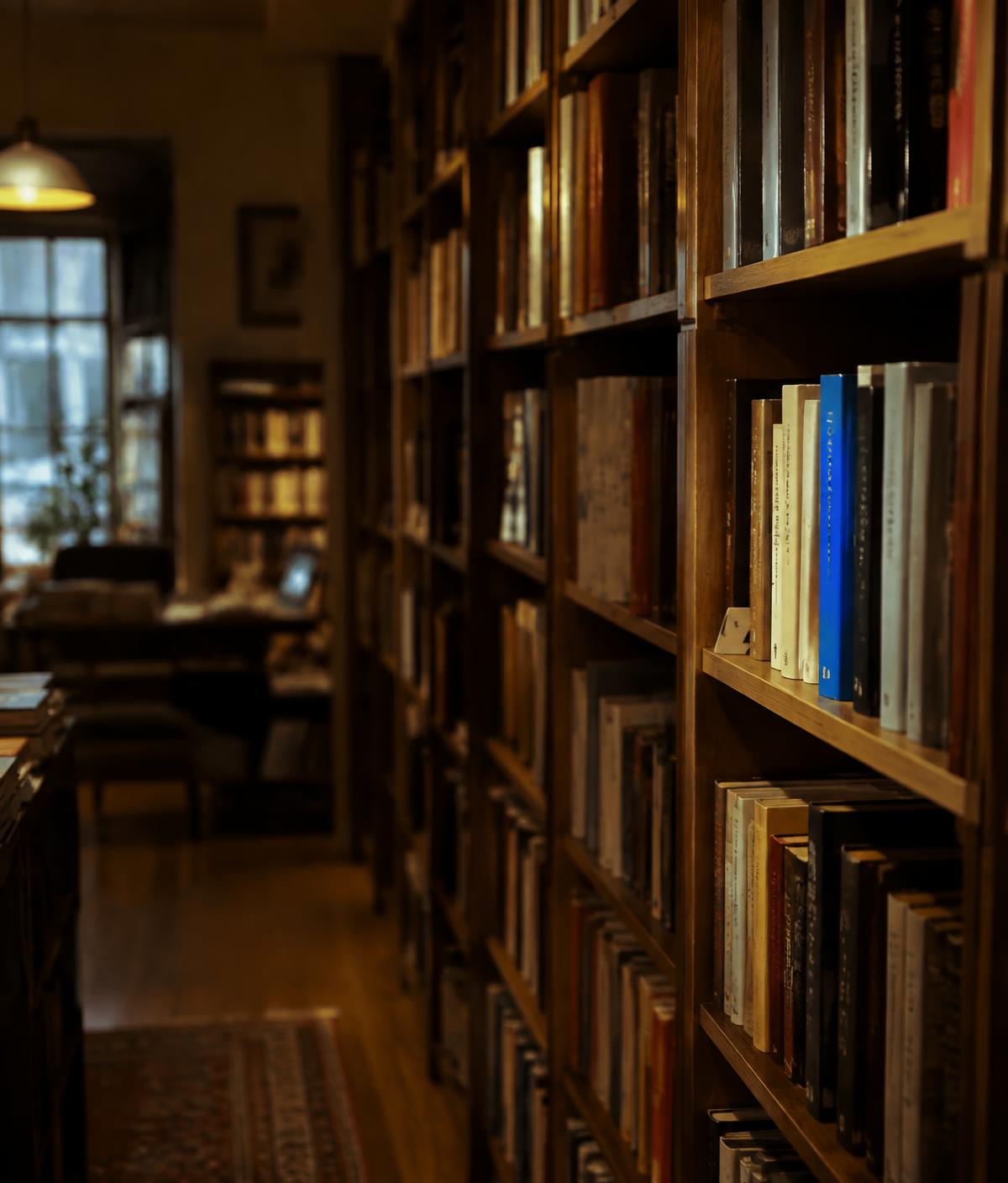 Warm-lit bookshop shelves with a single cobalt spine standing out